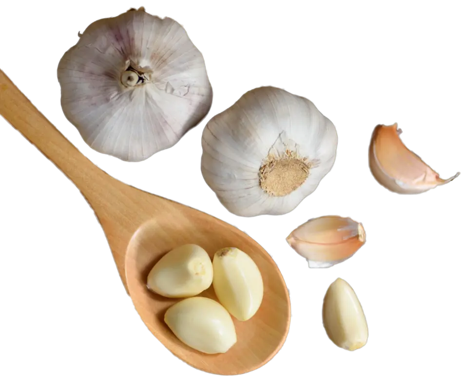 where to buy peeled garlic